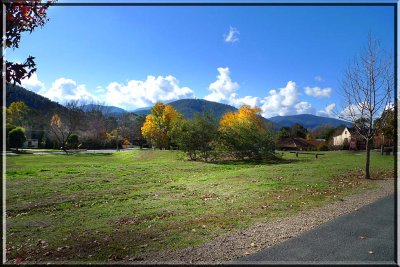 Walking the path in Autumn