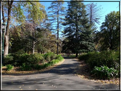 Pathway in the park
