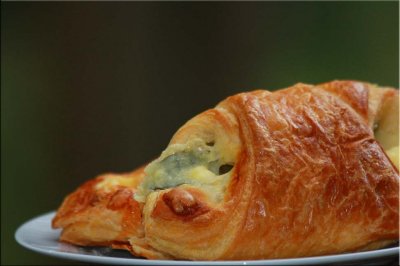 Spinach and cheese scroll - 1