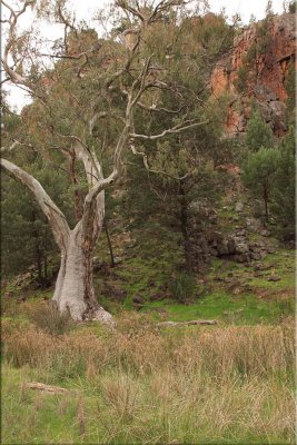 Warren Gorge, 22.08.10.02.jpg