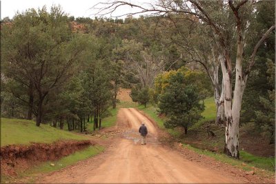 Warren Gorge, 22.08.10.17 Dick.jpg