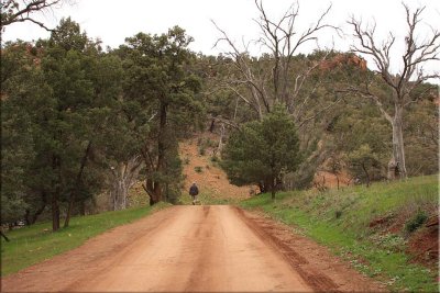 Warren Gorge, 22.08.10.18 Dick.jpg