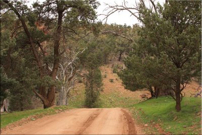 Warren Gorge, 22.08.10.19.jpg