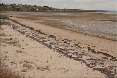 Beach sand, Stansbury
