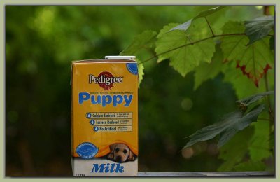 Puppy Milk, Flossie's favourite drinkie...