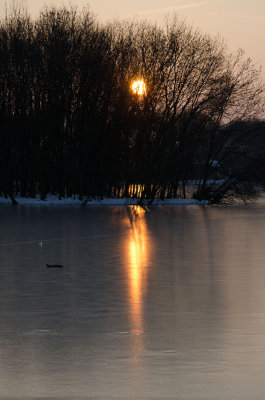 Pris dans la glace