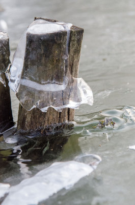 Pris dans la glace