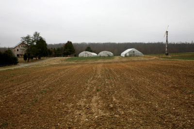 ROUNDABOUT FARM