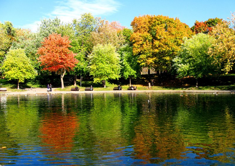 Autumn mood at Lafontaine urban park.