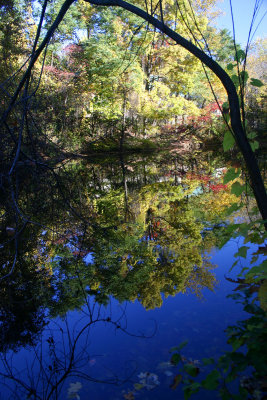 Mirror of autumn