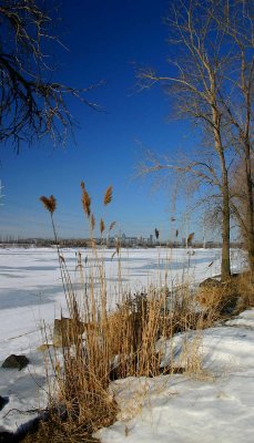 IMG_0016.jpg