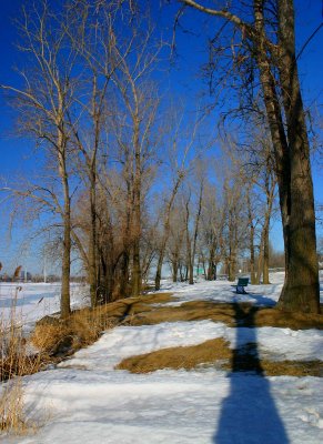 IMG_0017.jpg