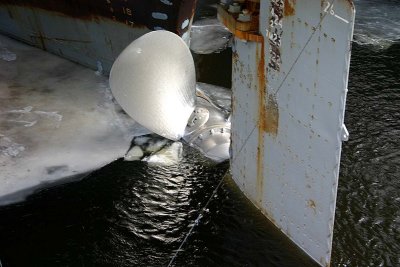 IMG_0049.jpg