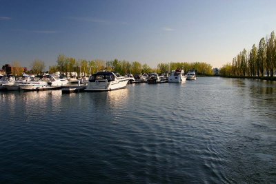 IMG_0074.jpg