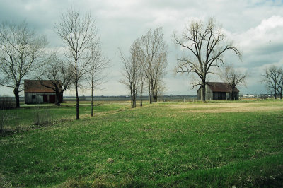 00890023b.jpg