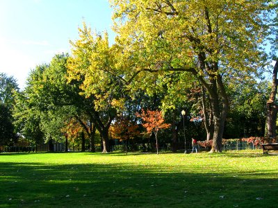 Autumn mood at Lafontaine urban park.