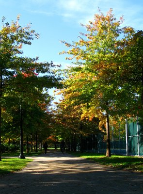 Autumn mood at Lafontaine urban park.