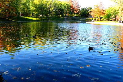 Autumn mood at Lafontaine urban park.
