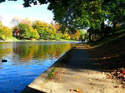 Autumn mood at Lafontaine urban park.