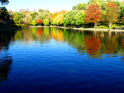 Autumn mood at Lafontaine urban park.