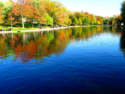 Autumn mood at Lafontaine urban park.