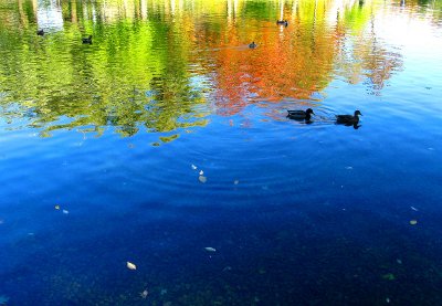 Autumn mood at Lafontaine urban park.