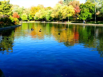 Autumn mood at Lafontaine urban park.