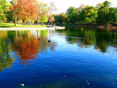 Autumn mood at Lafontaine urban park.