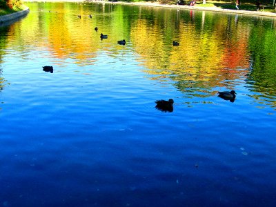 Autumn mood at Lafontaine urban park.