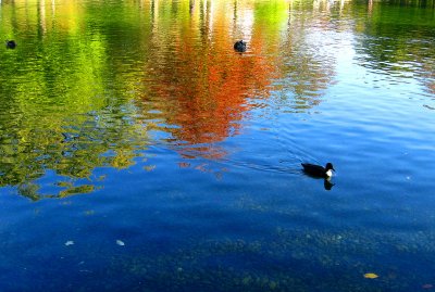 Autumn mood at Lafontaine urban park.