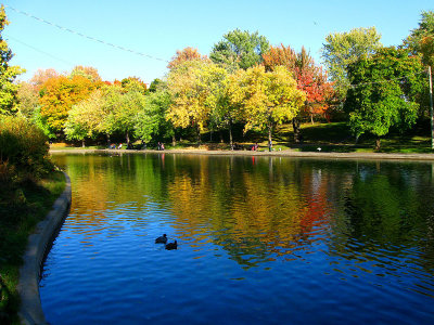 Autumn mood at Lafontaine urban park.