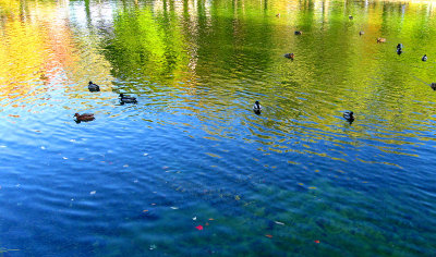 Autumn mood at Lafontaine urban park.