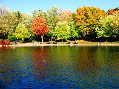 Autumn mood at Lafontaine urban park.