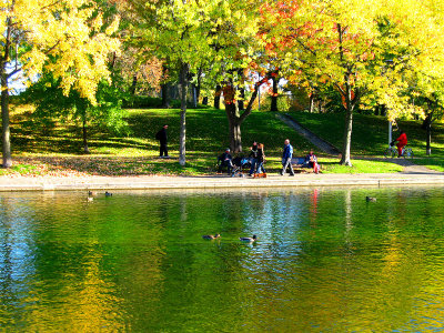 Autumn mood at Lafontaine urban park.