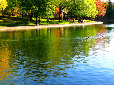 Autumn mood at Lafontaine urban park.