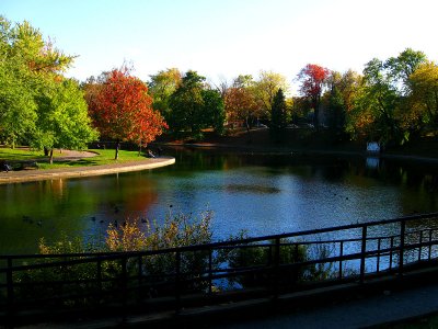 Autumn mood at Lafontaine urban park.