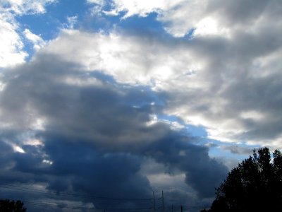 IMG_1352v.jpg