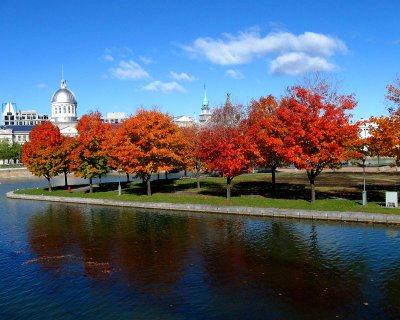 The Old Port and autumn colors