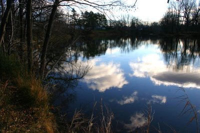 IMG_0144.jpg