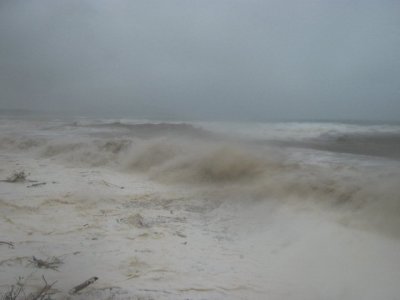 Image 04.jpg