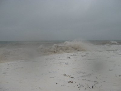 Image 06.jpg