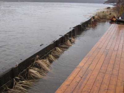Image 08.jpg
