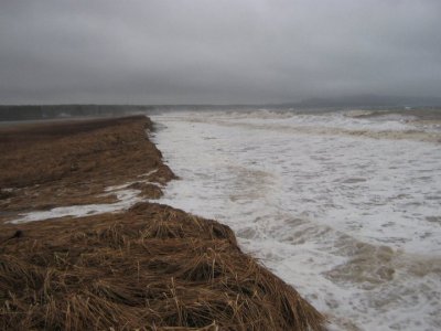 Image 15.jpg