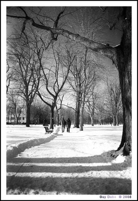 Winter in a park