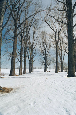 024_24b.jpg