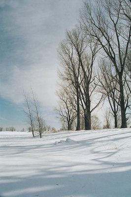 023_23b.jpg