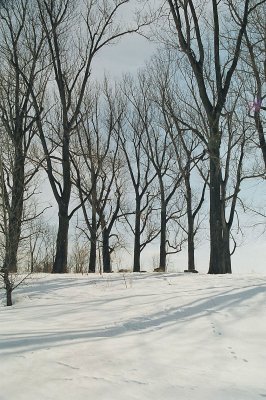 022_22b.jpg