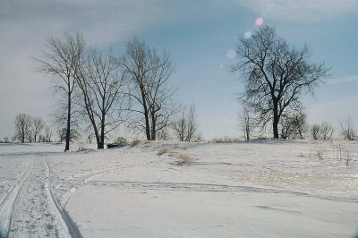 020_20b.jpg