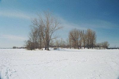 017_17c.jpg