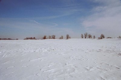 016_16d.jpg